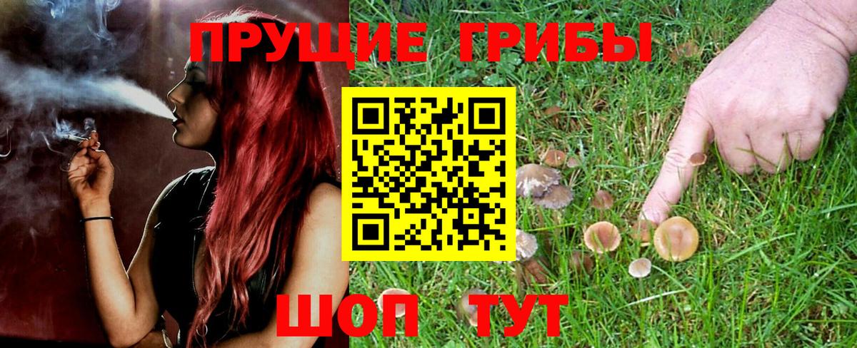 Галлюциногенные грибы Cubensis  даркнет сайт  Новозыбков  Галлюциногенные грибы ЛСД  Вход с VPN 