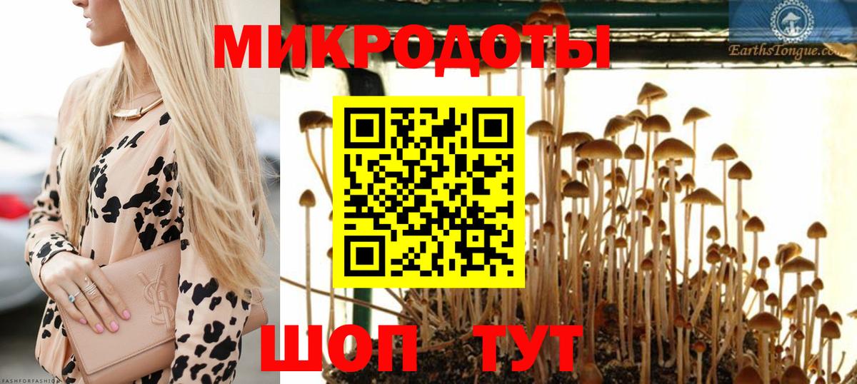 Галлюциногенные грибы Cubensis Новозыбков